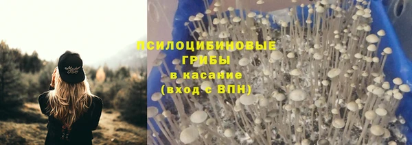 хмурый Алексин