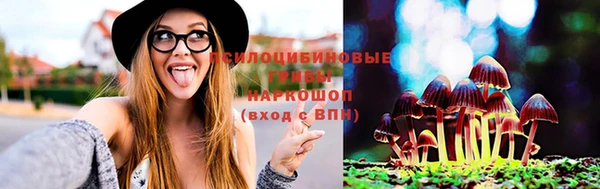 винт Алзамай