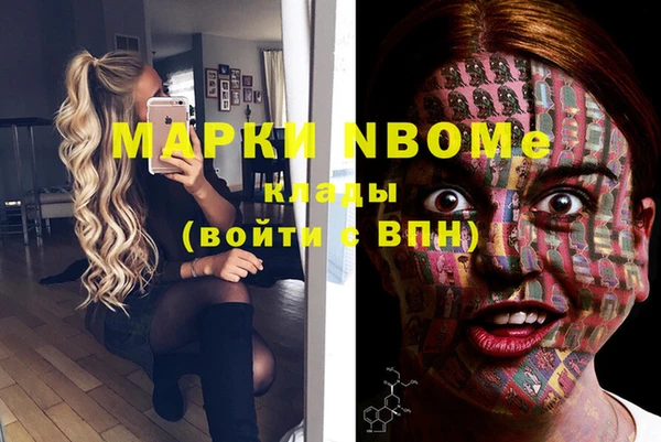 хмурый Алексин