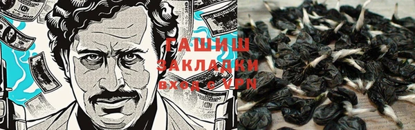 хмурый Алексин