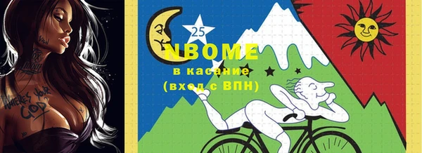 первитин Бикин